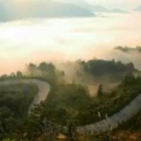 陈厚道